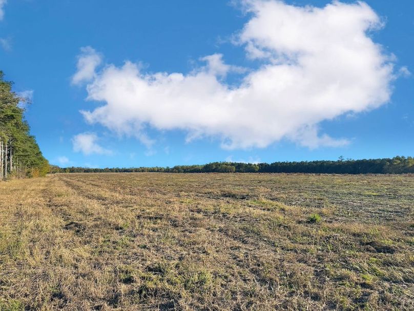 D6D072D0-010C-43CB-A72B-112357411F82