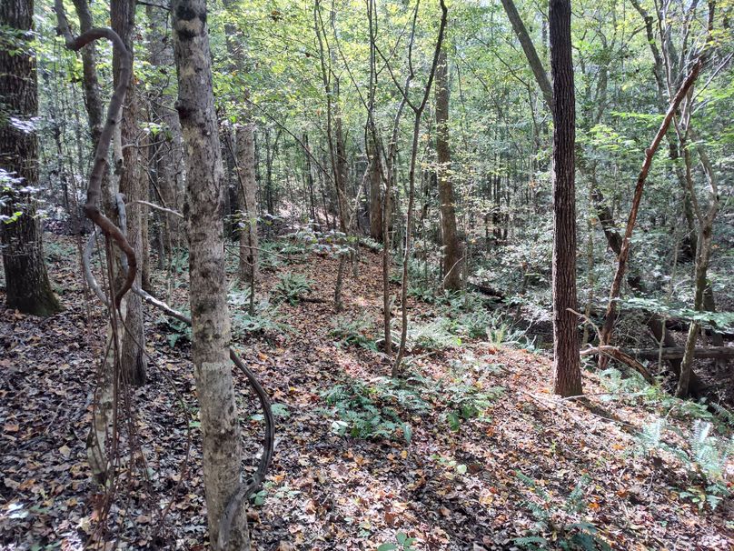 IMG_20231009_151102034_HDR