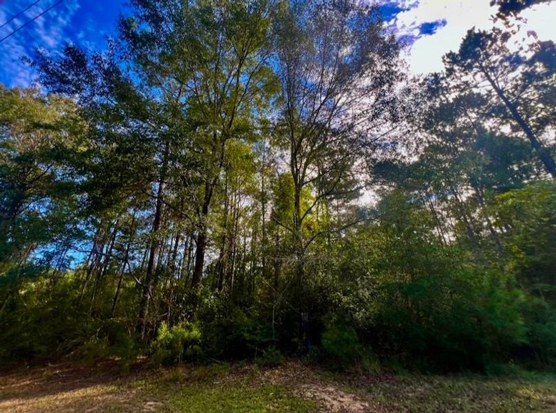 C88E955A-4246-4A80-994A-4DE724CEEA3A_1_105_c