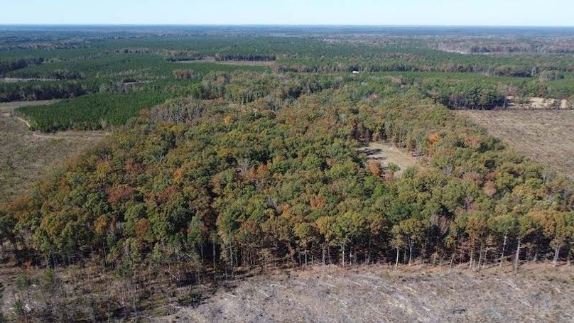 jeff 5020251111_0283