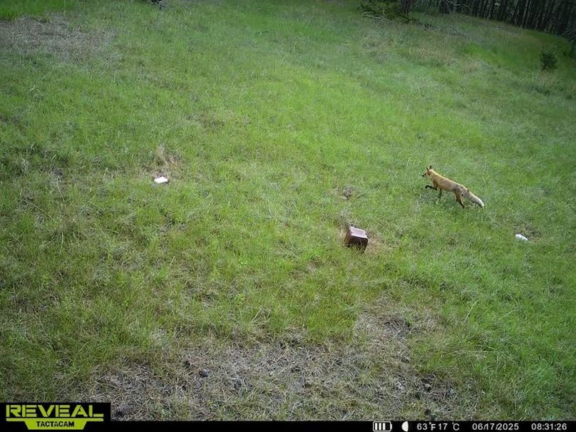 865509052769050-40-3-06172025083150-W1001283