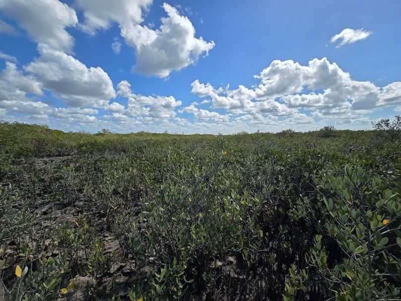 17.17ac, Citrus, Josiah Ronco47