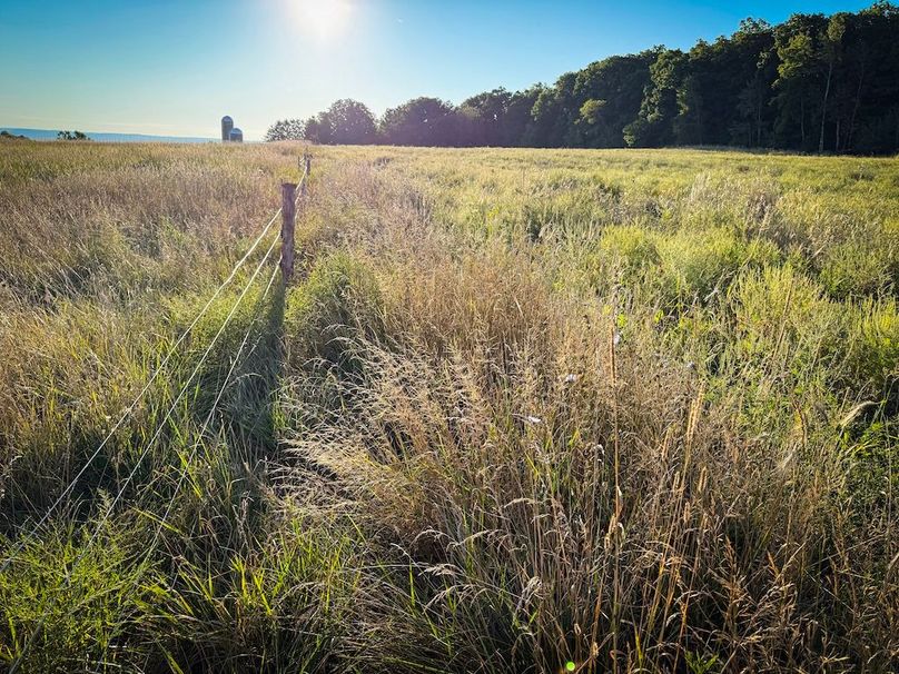 Copy of Wood Tract 2 Photo 17