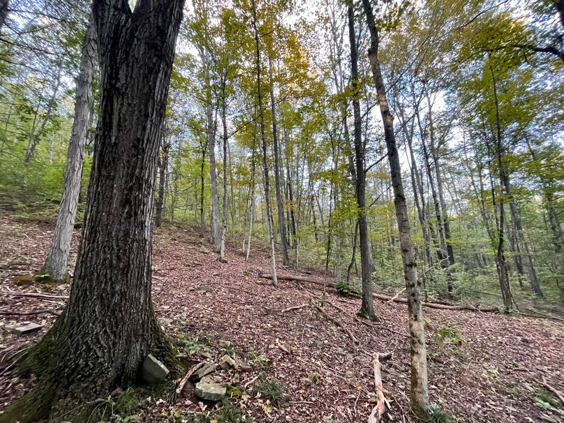 Tioga_20_Peters Photo 16