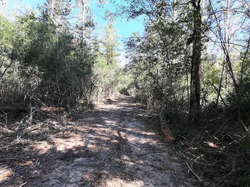 dji_fly_20251209_122300_0770_1765308496593_photo