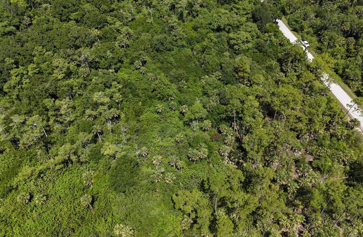 DJI_20240604112232_0032_D