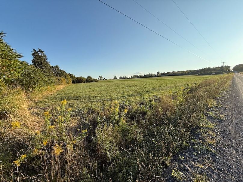 Copy of Wood Tract 6 Photo 13