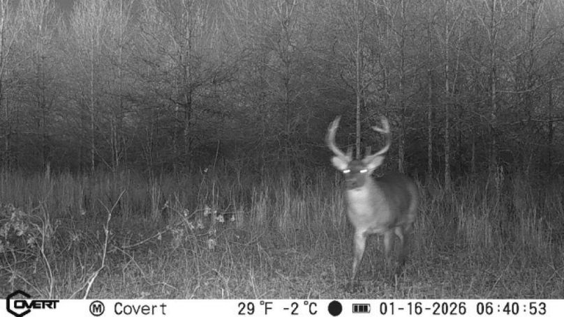 01_16_2026_06_40_52_3327672744