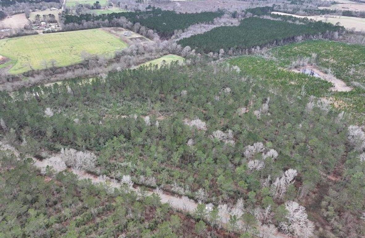 dji_fly_20260217_131846_0095_1771436912651_photo