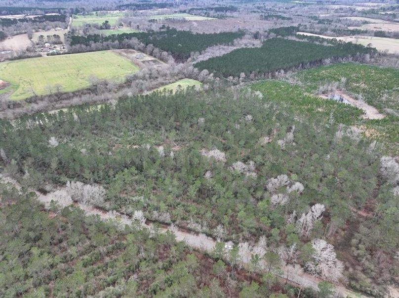 dji_fly_20260217_131846_0095_1771436912651_photo