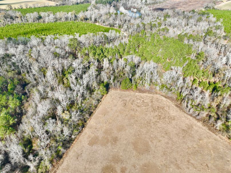 dji_fly_20231230_110020_11_1703952419582_photo