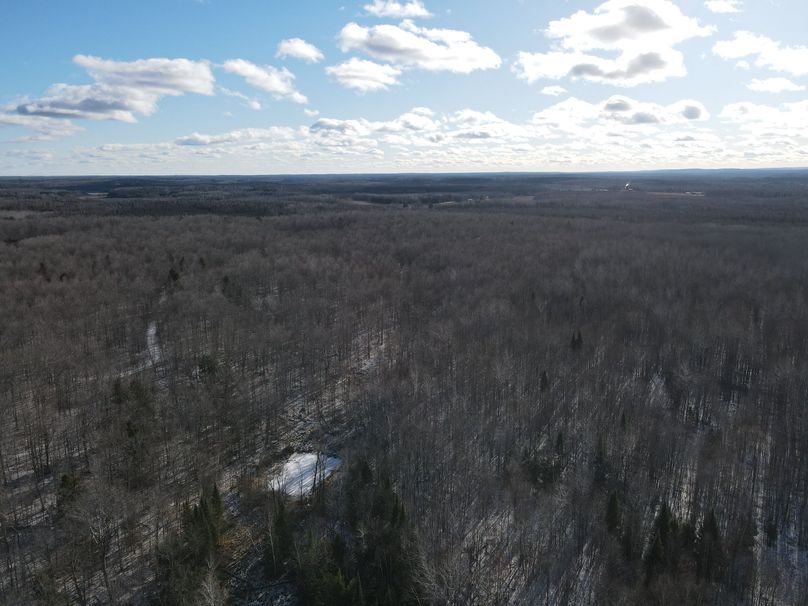 DJI_0831