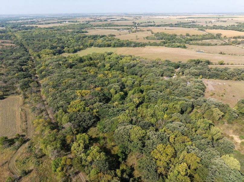 20240913-DJI_20240913104840_0098_D