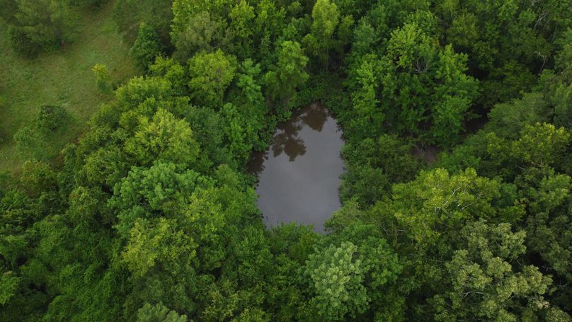 DJI_0684