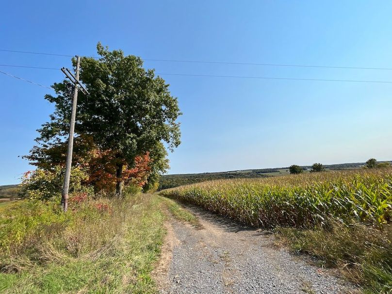 Yates_29_Stape Photo 41