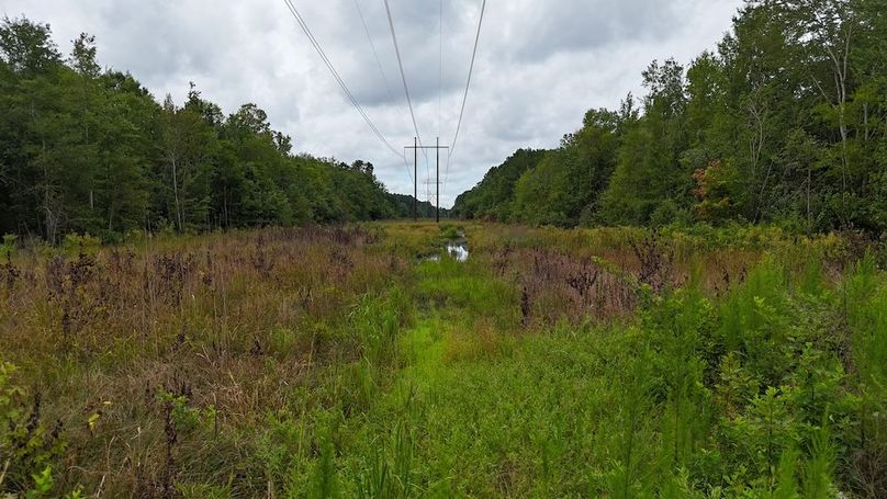 dji_fly_20250715_115542_0609_1752596190917_photo