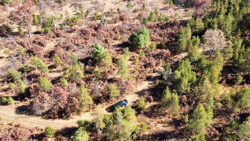 dji_fly_20241024_130632_498_1730406256418_photo_optimized