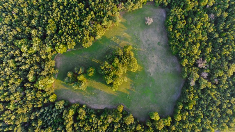 Ogemaw MI 475 Featured Pro Photo-0099