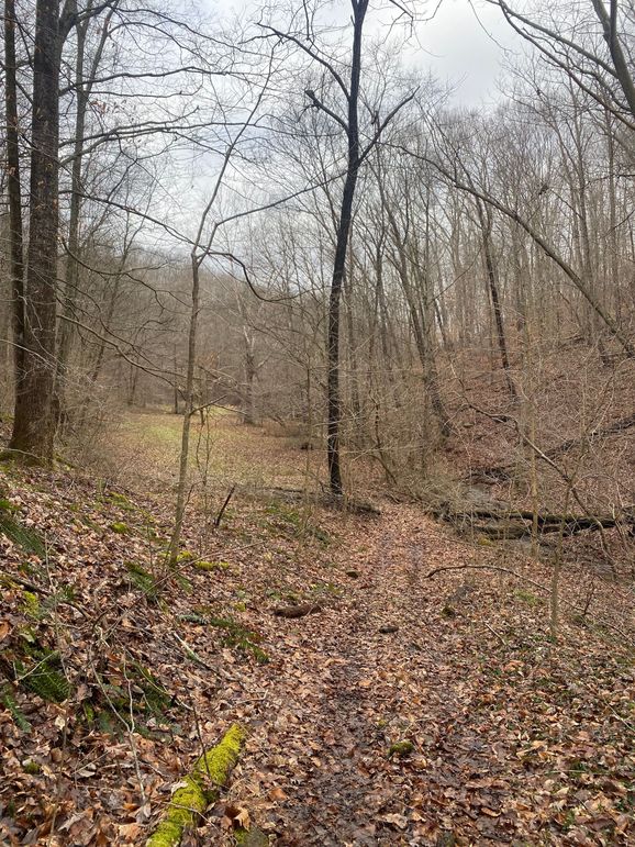 Greenup Ky Mauk 46.15 07