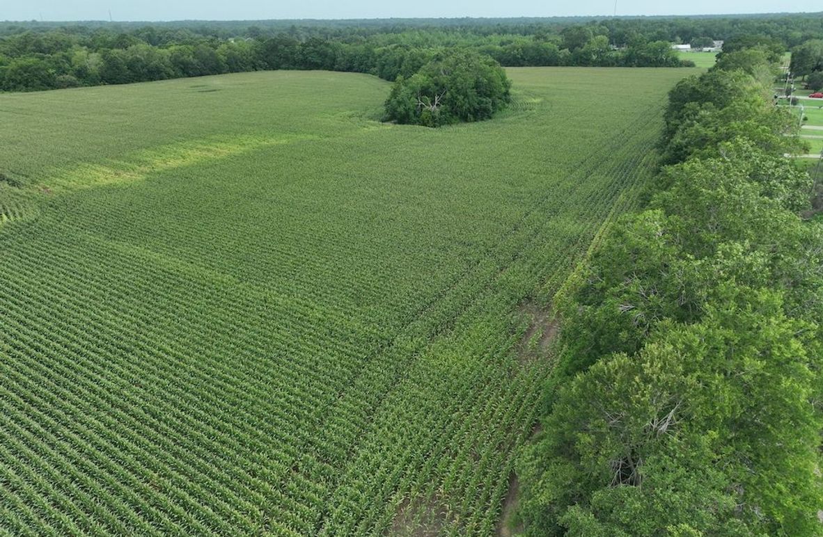 dji_fly_20240620_102404_546_1718899049446_photo