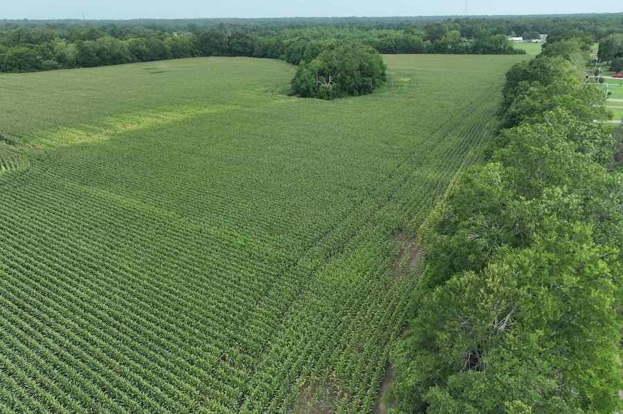 dji_fly_20240620_102404_546_1718899049446_photo