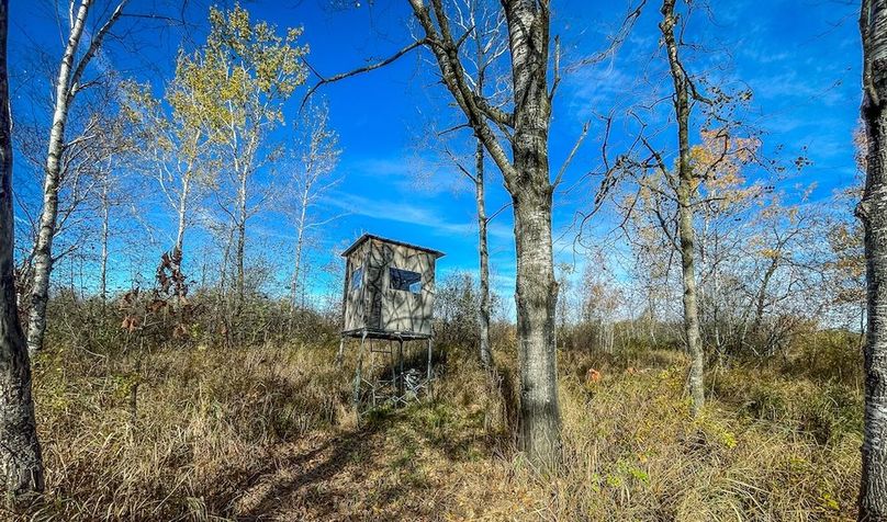 Clark 24.75 Winkel -34