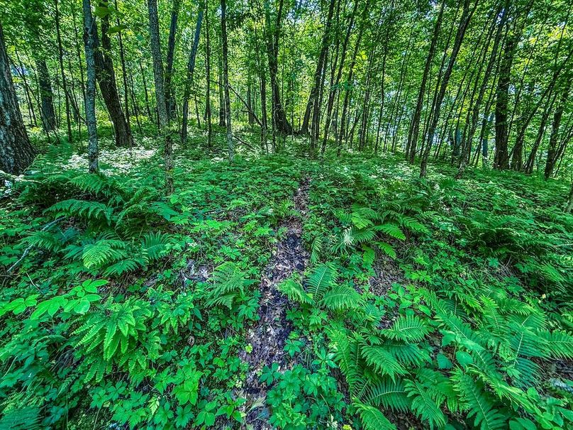 Houston 134.41 Updated Oct-42