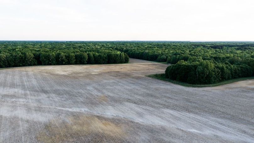 WhiteCoArkansas-18