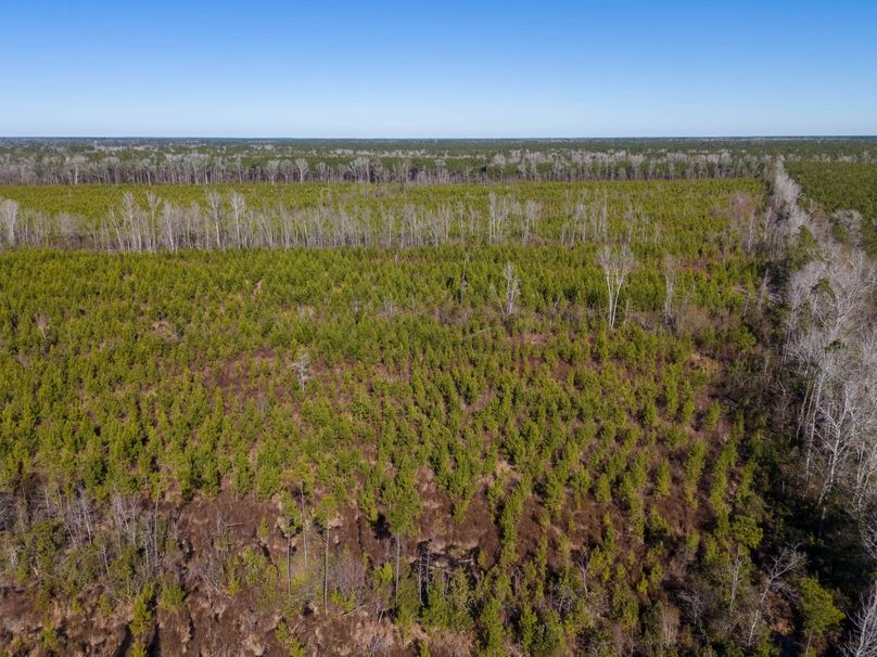 Pender NC 382 - Edits-17