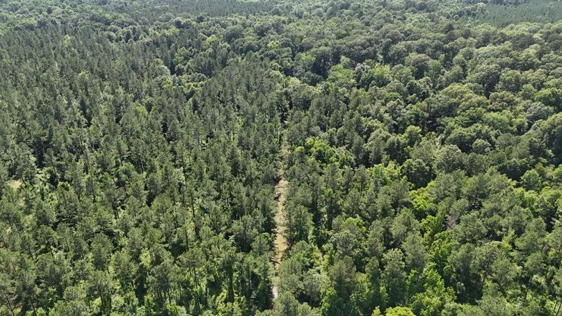 dji_fly_20250526_044240_0014_1748267938894_photo