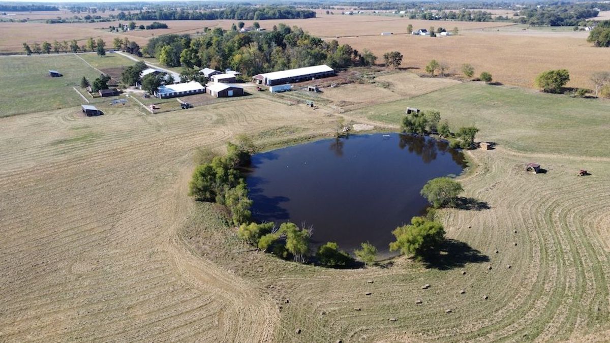 Livestock Farm & Acreage With Home And Large Pond In Henry Indiana ...