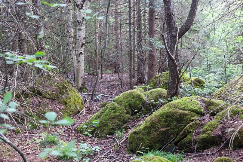 Mackinac20Fewins-6079