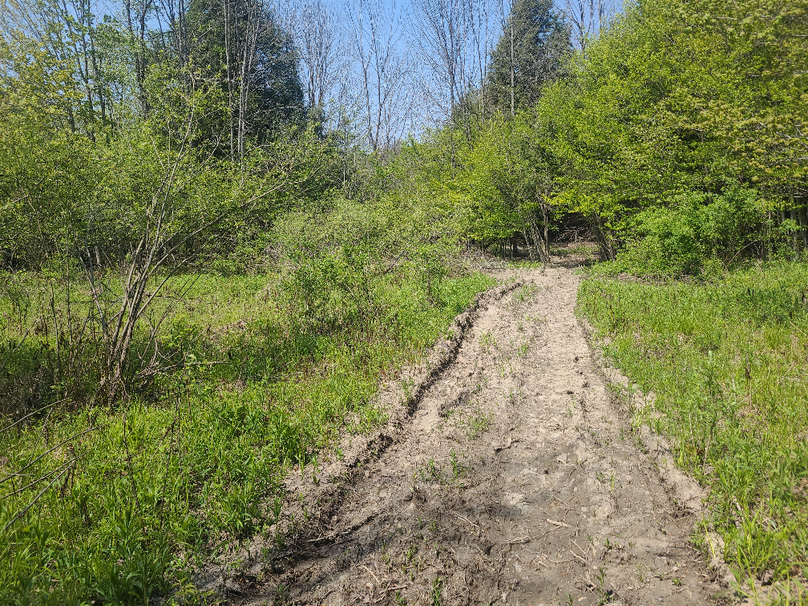 photo_5b116c6b-813d-49df-86d4-5e7858d3c9ca