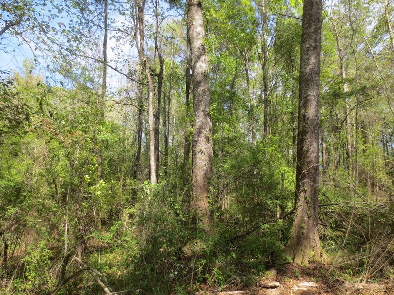 8E33662E-5FEF-43BB-9FD5-515474E7D799_1_105_c