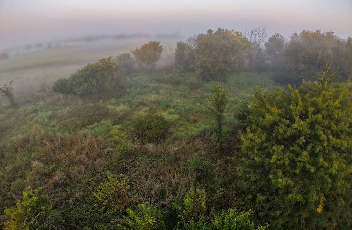 DJI_20250906071455_0001_D