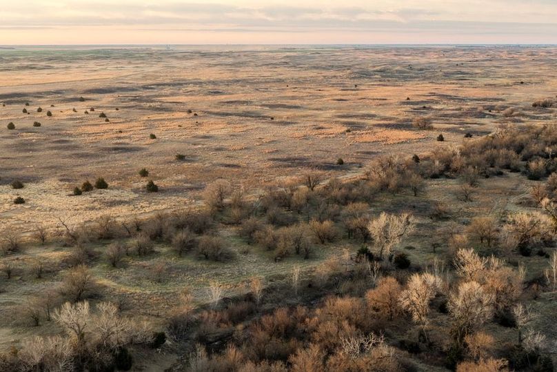 DJI_20260311081904_0522_D