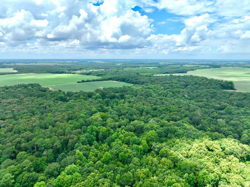 dji_fly_20240703_135302_505_1720038345723_photo