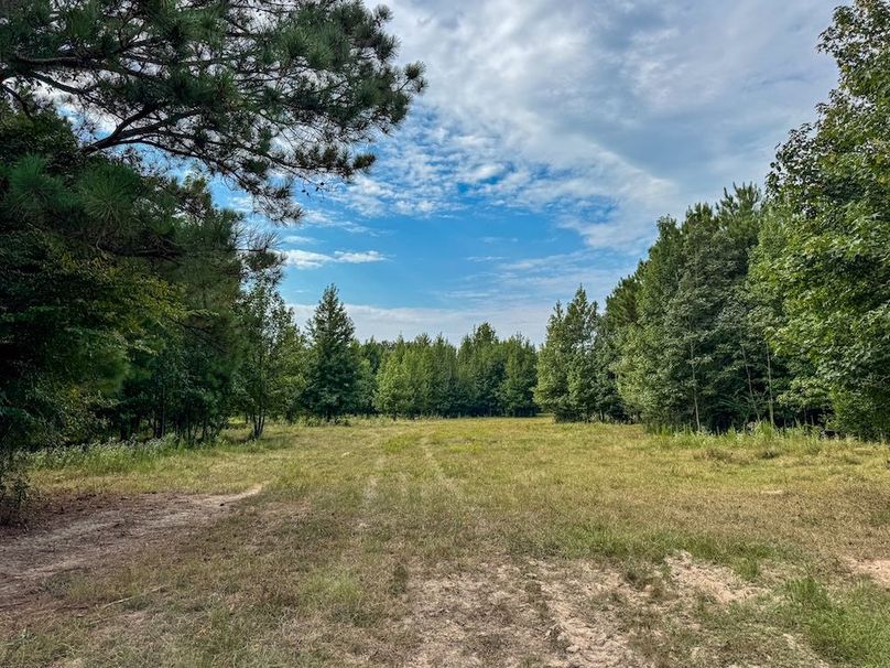 16 Jefferson 117ac - bethard-28