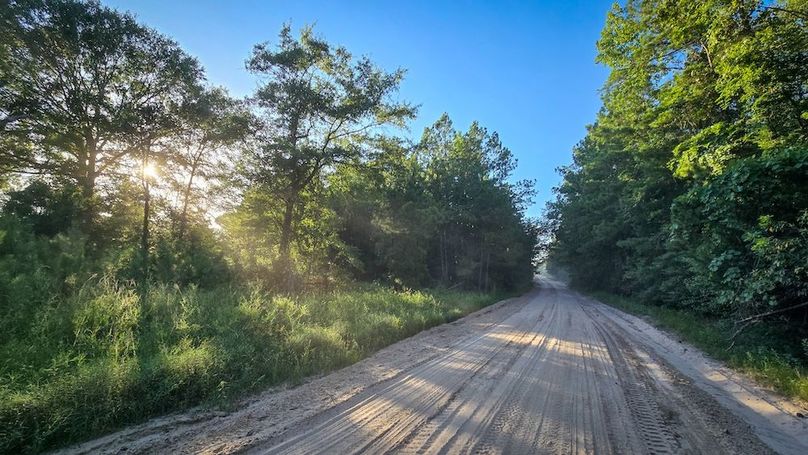 Copy of 20240704_191632