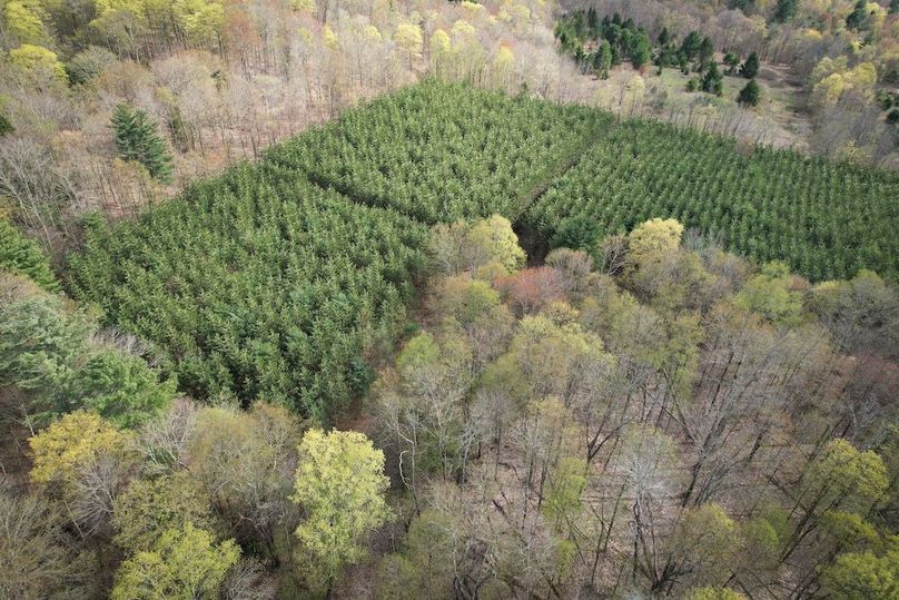 Tioga_76.65_Matyjas_Photos_35