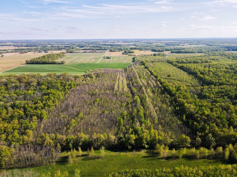 vandalia 450 (2)-3057