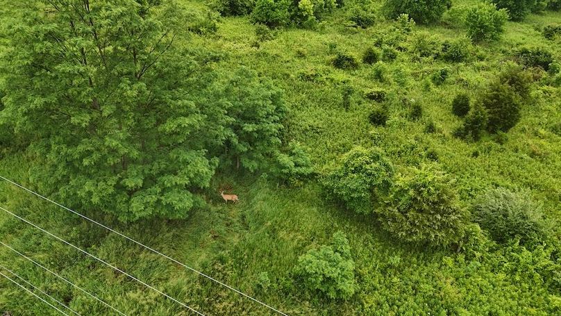 DJI_20250605123216_0561_D