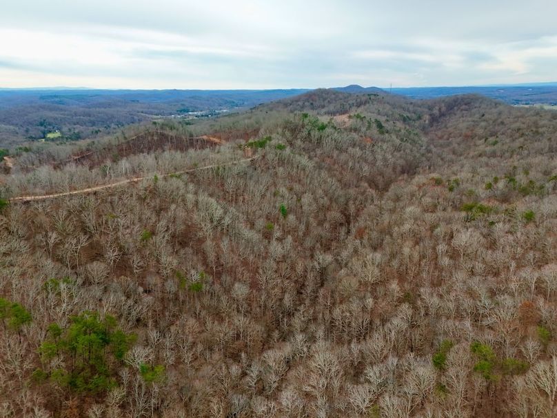 Roane Co TN 396 20251127_58