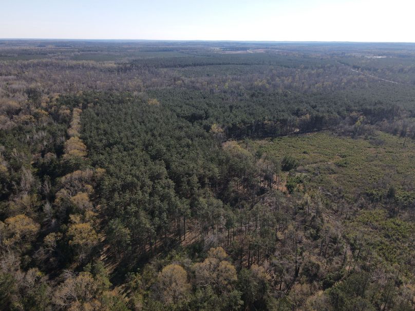 DJI_0810