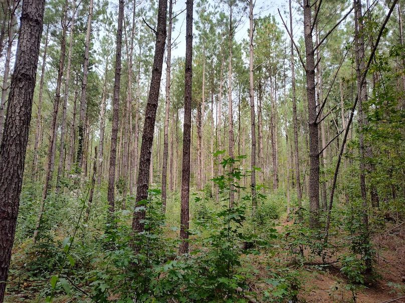 IMG_20250914_150259703_HDR