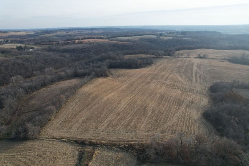DJI_0996