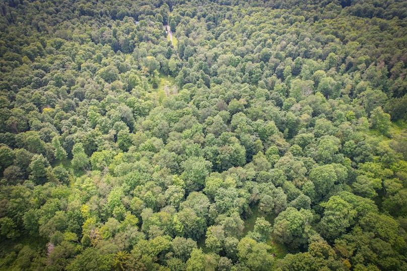 Jefferson_53.29_Johnson_Photos_30