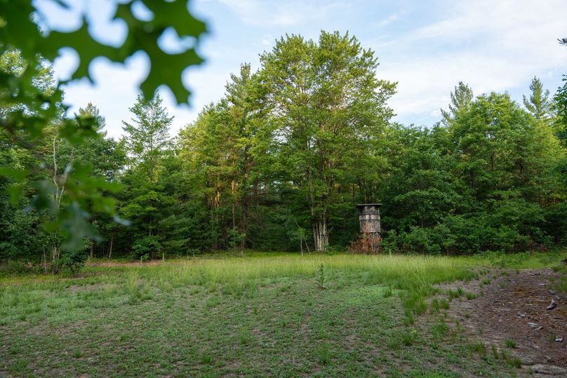 Ogemaw MI 475 Featured Pro Photo-742210