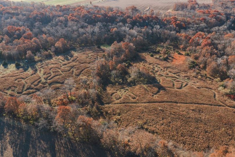 DJI_20251116082417_0093_D