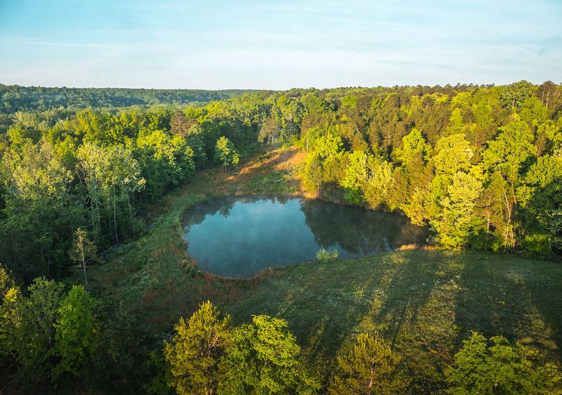 DJI_20250506065120_0145_D
